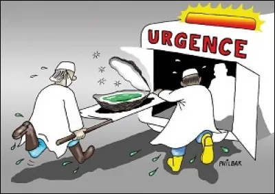 Encore faut-il en avoir le sens pour que traits s'en d&eacute;gagent. Il est�