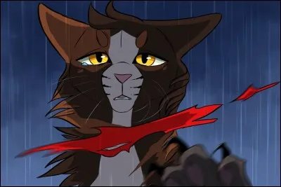 Pourquoi Étoile de Feu l'a-t-il nommée par ce nom ?