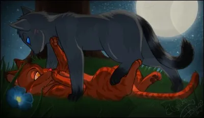 Quand dit-on que Nuage de Feuille tombe amoureuse de Plume de Jais ?