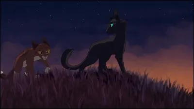 Qu'est-ce que Feuille de Lune et Plume de Jais ont décidé pour ne plus faire face aux problèmes qu'ils craignaient ?