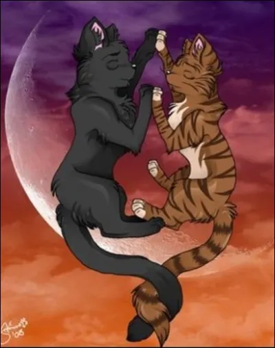 Feuille de Lune continue-t-elle à voir Plume de Jais ?