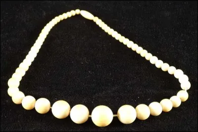 Qu'est-ce qui manque au mot "Iv.......", qui est une matière ?