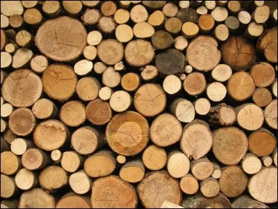 Comment s'appelle ceci ?