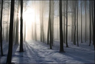 Quel chevalier trouve Perceval dans la forêt ?