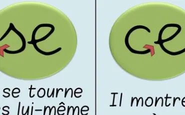 Quiz Orthographe