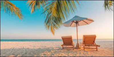 Où aimerais-tu passer tes vacances d'été ?