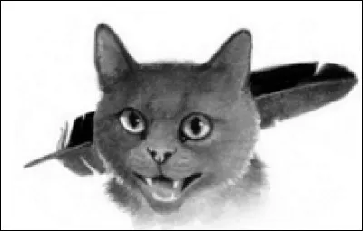 Malgré la tristesse de Plume de Jais, les élus continuent leur voyage et reviennent chez eux, dans leurs clans respectifs. Les quatre clans entament donc le Grand Périple pour changer de territoire. Que se passe-t-il pendant ce voyage de très important pour Plume de Jais ?