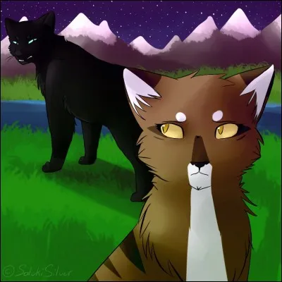 Pourquoi abandonnent-ils cette idée ?