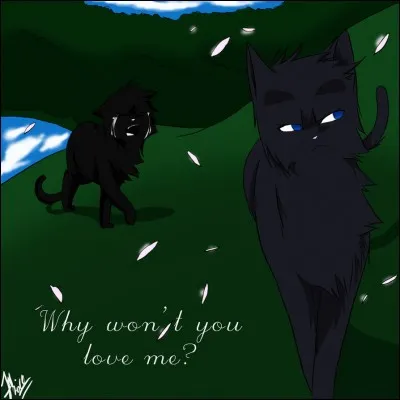 Cet événement les sépare pour toujours...
Pour que ses camarades de clan cessent de le soupçonner, Plume de Jais prend une autre compagne, avec qui son amour n'est pas interdit. Qui est-ce ?