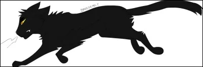 Comment se nomme l'enfant que Plume de Jais a eu avec cette troisième et dernière compagne ?