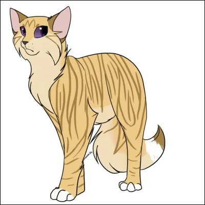 Plume de Jais coule une vie paisible avec sa nouvelle compagne et leur enfant. Il se fait alors attribuer un(e) apprenti(e). Lequel/Laquelle ?