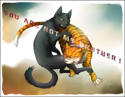 Lorsque son fils né de sa troisième compagne tente de tuer celui né clandestinement de sa deuxième compagne, Plume de Jais intervient. Que dit-il à son fils qui a tenté de tuer son demi-frère ?