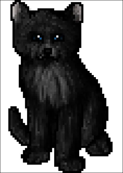 Et quel était son nom de chaton ?