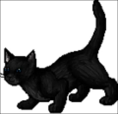 Plume de Jais est maintenant apprenti... Quel est son nouveau nom ?