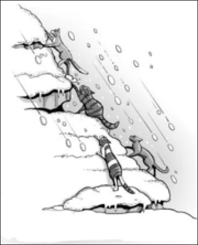 Au cours du voyage, Plume de Jais...
(sélectionnez les 2 phrases justes)