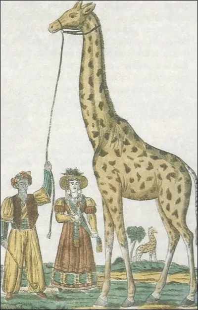 À qui le pacha d'Égypte a-t-il offert une girafe ?