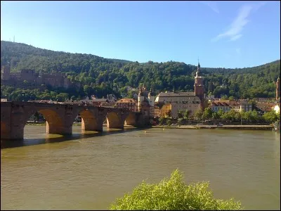 Cette ville traversée par le Neckar est connue pour son château - haut-lieu du romantisme - et pour son université fondée en 1386. Quelle est cette ville ?