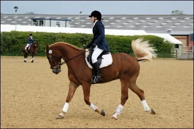 Quelle est la robe ?