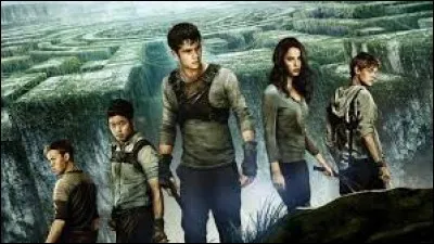 Quel est le nom du dernier film de la trilogie "Labyrinthe" sorti le 7 février au cinéma ?