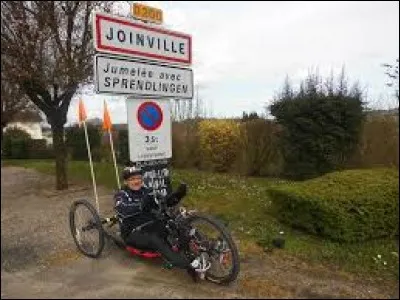 À Joinville (Haute-Marne), les habitants se nomment les ...