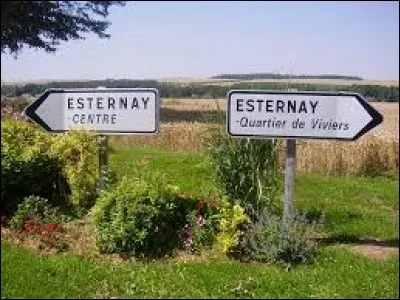 Les habitants d'Esternay (Marne) portent le gentilé ...