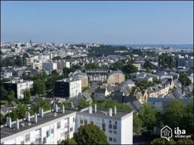 Quel fruit fait honneur à la ville Finistérienne de Plougastel-Daoulas ?