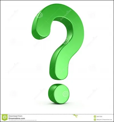 En quelle année est sorti le jeu ?