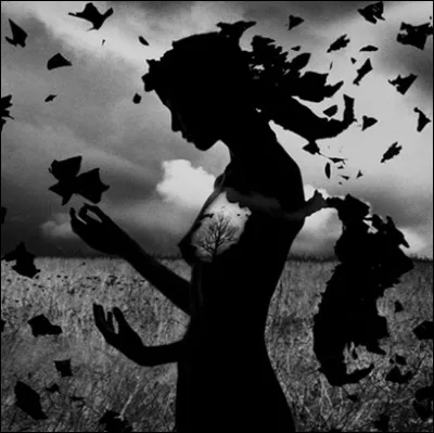 Qui chantait "Je l'appellerai sans la nommer, je suis peut-être démodé, le vent d'hiver souffre en avril, j'aime le silence immobile..."