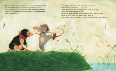 Que regarde la souris noire ?