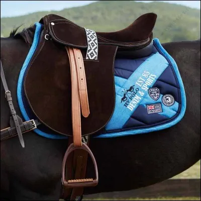 Qu'est-ce qui ne fait pas partie de la selle ?