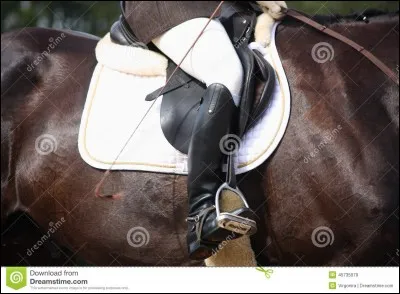 Qu'est-ce qui est obligatoire avant de monter à cheval ?
