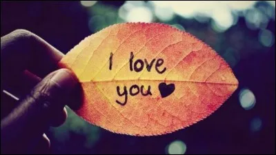 Quelle actrice est &agrave; l'affiche du film "PS I Love You", en 2008 ?