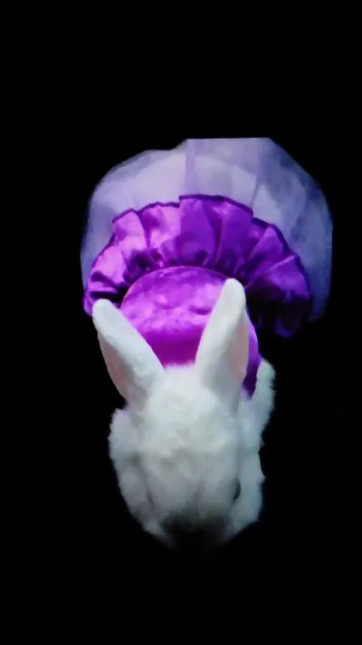 Le lapin craint-il le froid ?