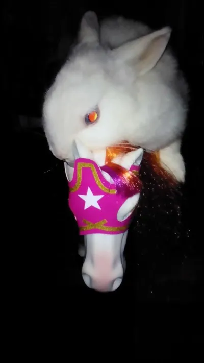 Qu'est-ce qu'un lapin ?