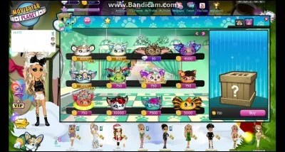 Que sont les "pets pets" ?