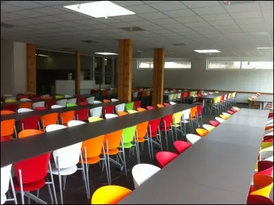 Une bagarre éclate au réfectoire entre Dave et Olive, deux élèves de la 6e C. Ils sont séparés par les surveillants et escortés à ton bureau. Tu...