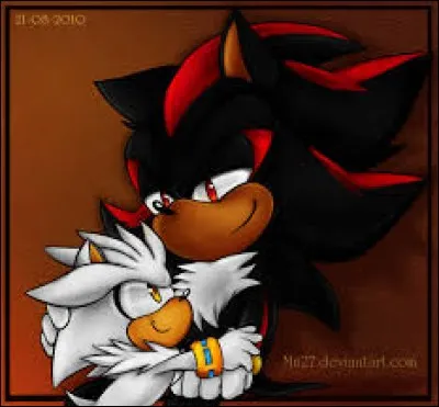 Pour retrouver sa mémoire, Shadow doit..