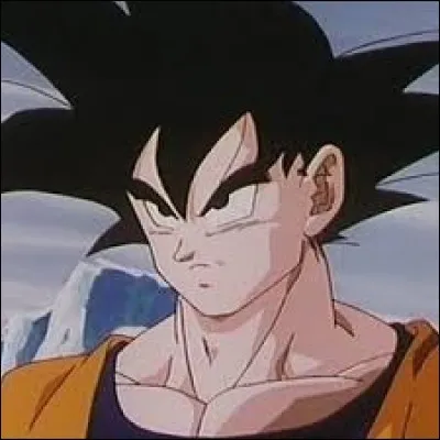 Il a l'apparence d'un humain mais c'est un Saiyan ; il aime combattre et manger. Comment se nomme-t-il ?