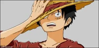 Pirate &agrave; la recherche d'un tr&eacute;sor, son r&ecirc;ve est de devenir le Roi des Pirates ; comment s'appelle t-il ?