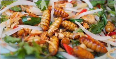 Quel animal ne se mange pas ?