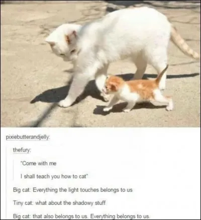 Comment se nomme l'apprenti de Cur de Feu ?