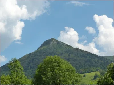 Combien de chats Étoile Bleue envoie-t-elle pour ramener le Clan du Vent ?