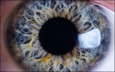 Comment sont tes yeux ?