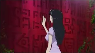 Comment sont appel&eacute;es les st&egrave;les tant convoit&eacute;es que Nico Robin a la facult&eacute; de d&eacute;chiffrer ?