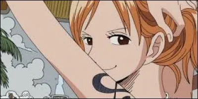 Nami rejoignit l'&eacute;quipage de Luffy...