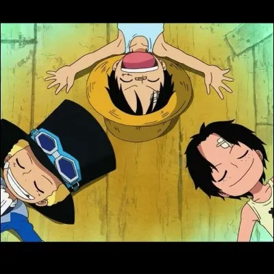 Comment Ace, Luffy et Sabo sont-ils devenus fr&egrave;res ?