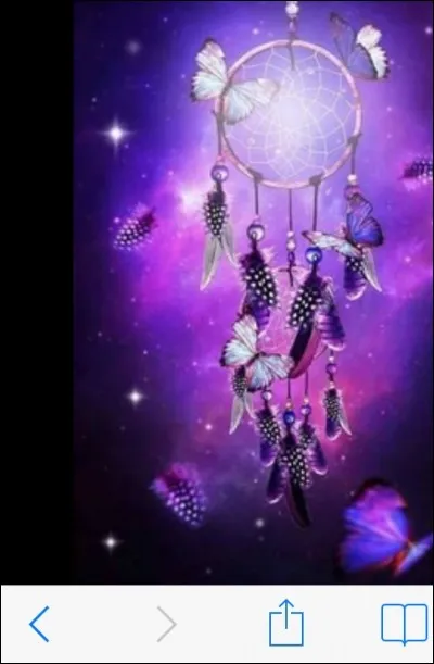 Tu te qualifierais comme :