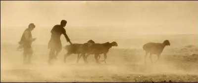 Les familles de sept des dix soldats morts en Afghanistan dans l'embuscade de la valle d'Uzbin ont port plainte. Sont viss...