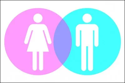 Parmi ces mots, lequel est masculin ?