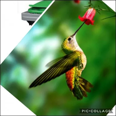 Je vous protège de cette puanteur.